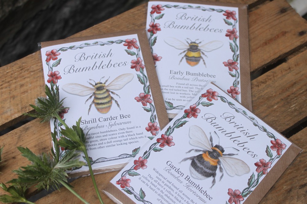 Beautiful Bee Card