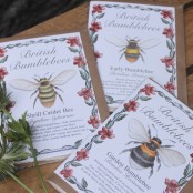 Beautiful Bee Card